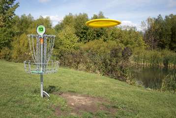 On The Disc Golf Course